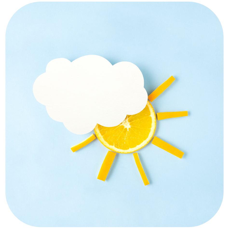 Untitled design - 2023-11-21T190230.012 https://photoker.co.za/wp-content/uploads/2023/11/Untitled-design-2023-11-21T190230.012-1.png